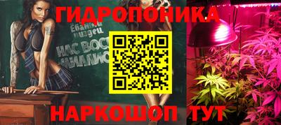 молекула духа Нальчик