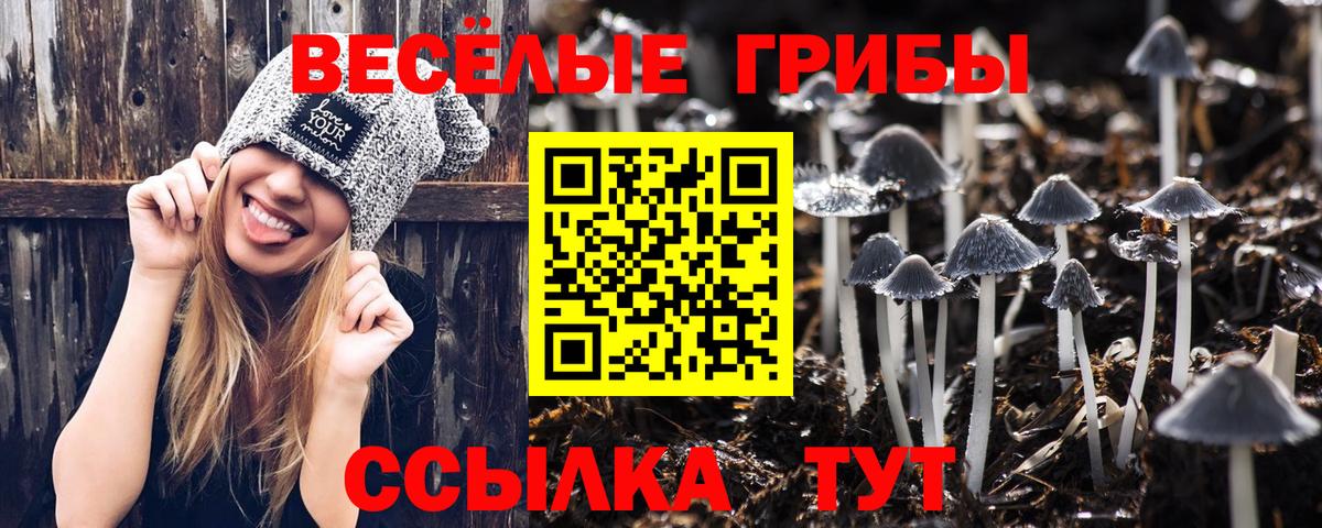 Верхняя Салда  Псилоцибиновые грибы Psilocybe  Вход с VPN 